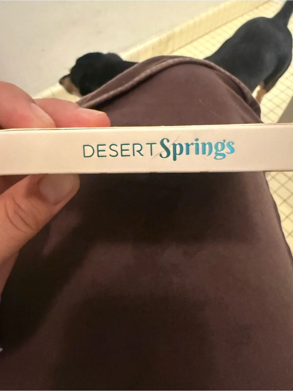 The Crème Shop Desert Springs 9-Color Eyeshadow Palette - Peach, Gold & Olive